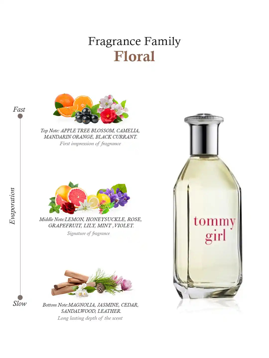 Tommy Girl - 100 ml Eau De Toilette