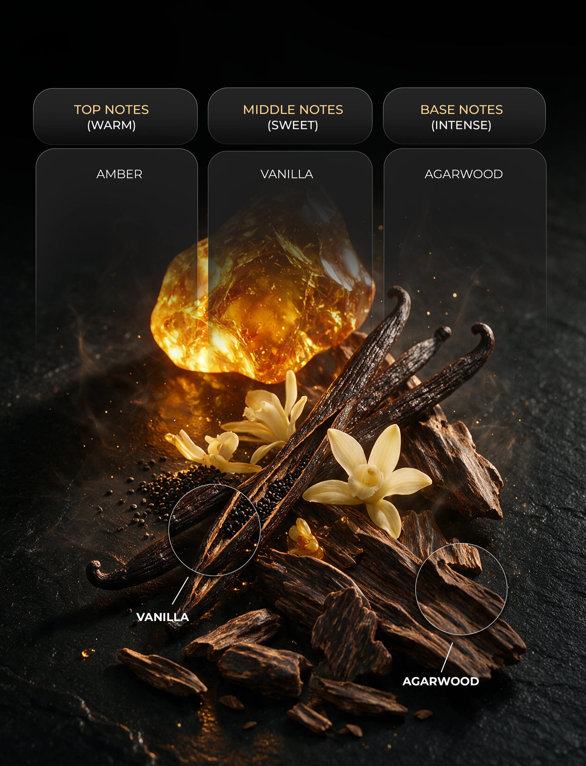 HAZELNUT OUD