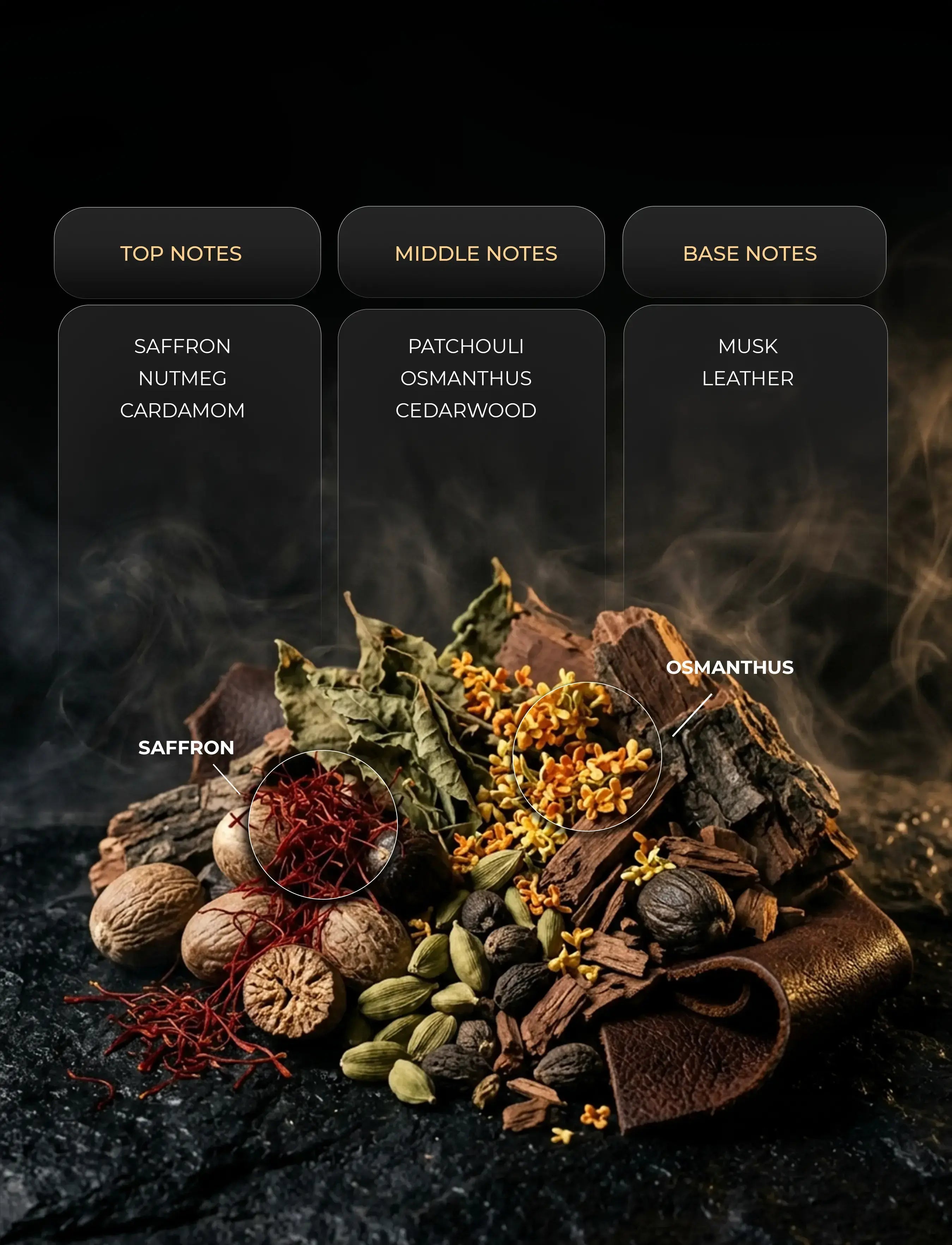 OUD HARMONY ( Inspired by RHYTHM OF OUD )