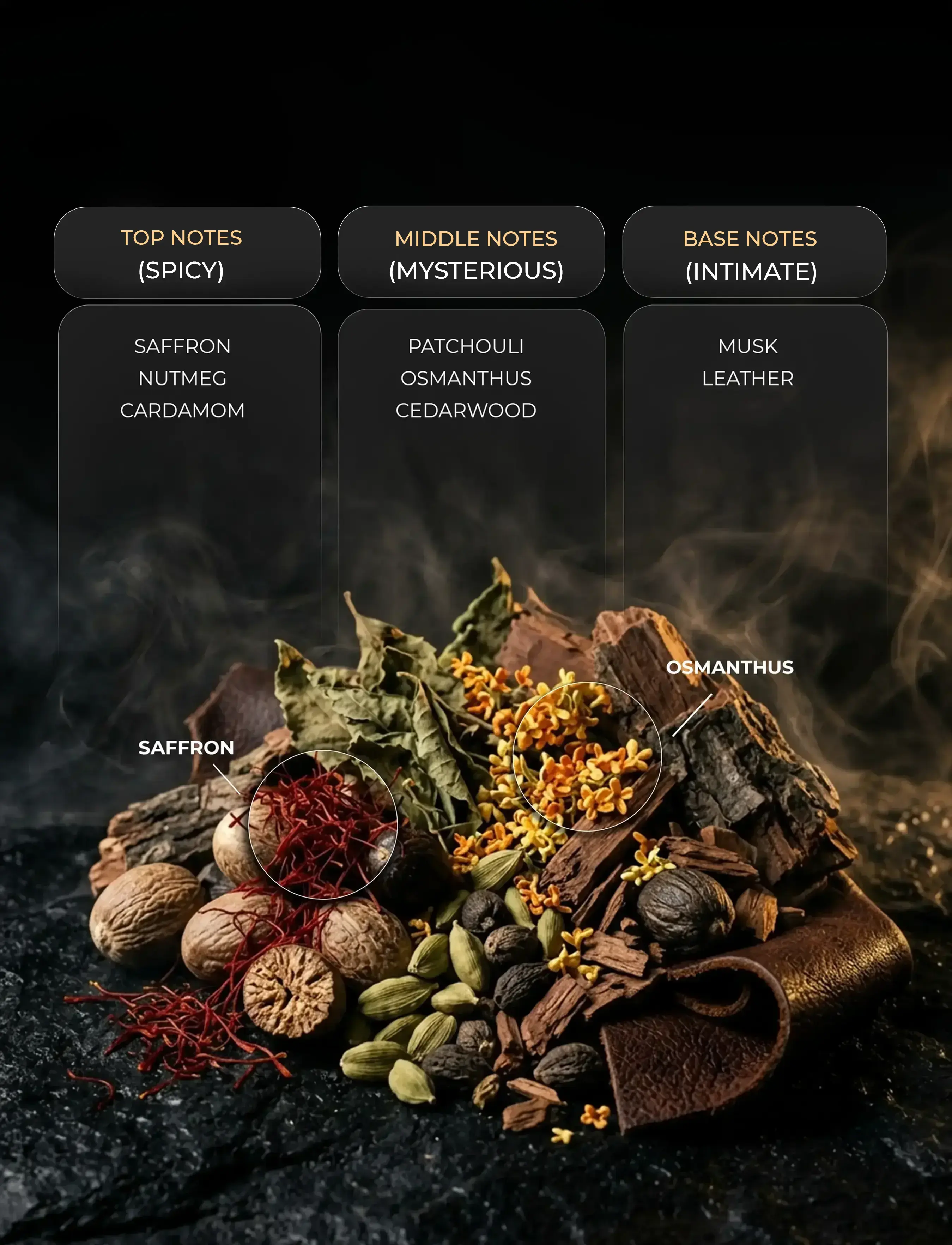 OUD HARMONY ( Inspired by RHYTHM OF OUD )