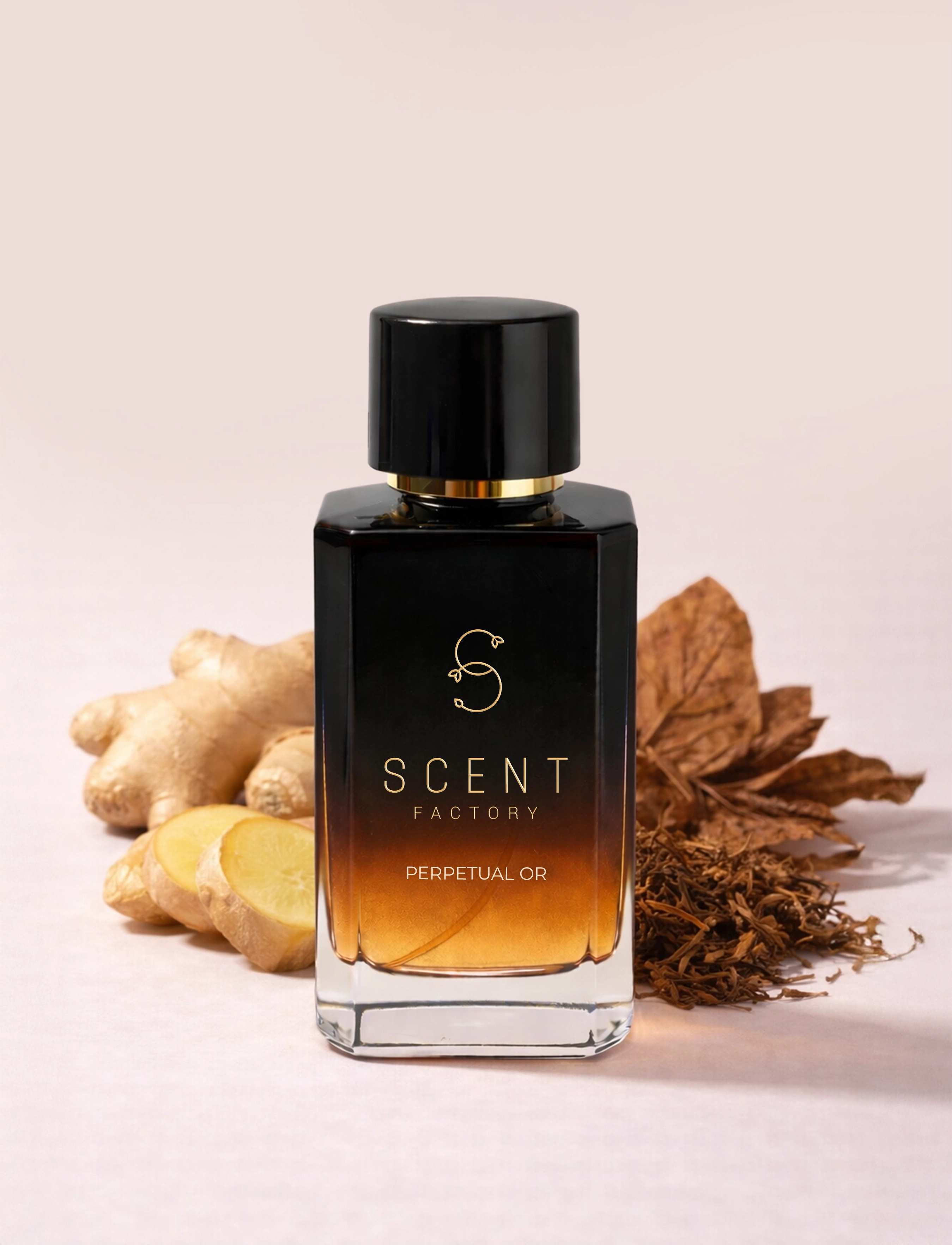 PERPETUAL OR ( Inspired by GOLDEN PALM )