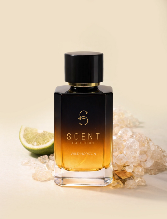 WILD HORIZON ( inspired by SAUVAGE  )